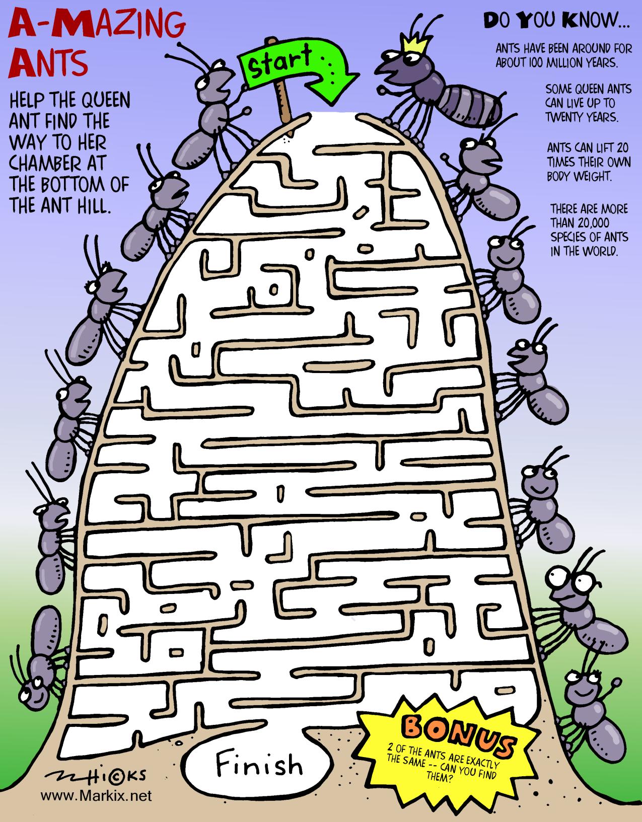 Amazing Ants Maze