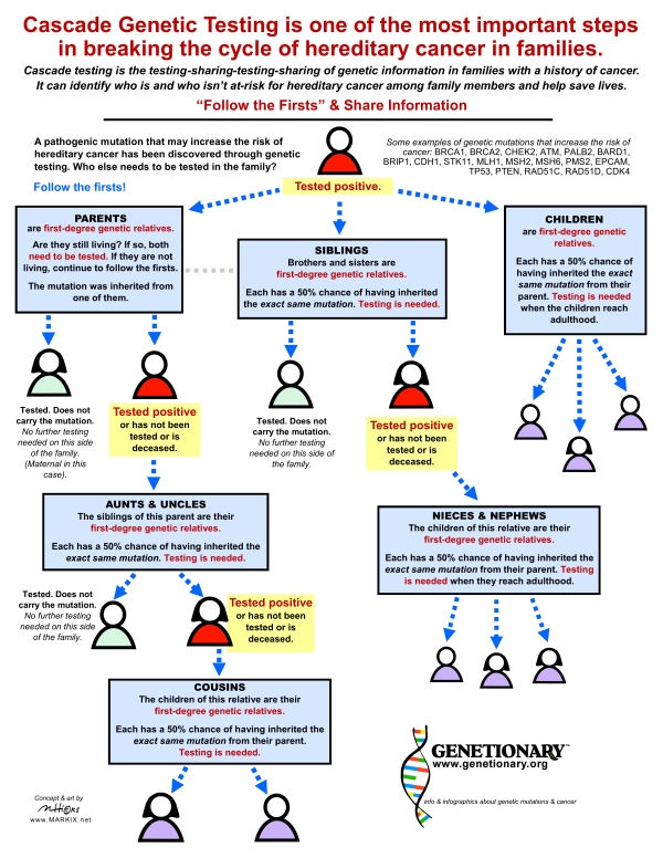 cascade testing infographic