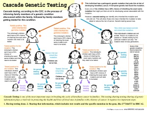 cascade testing infographic